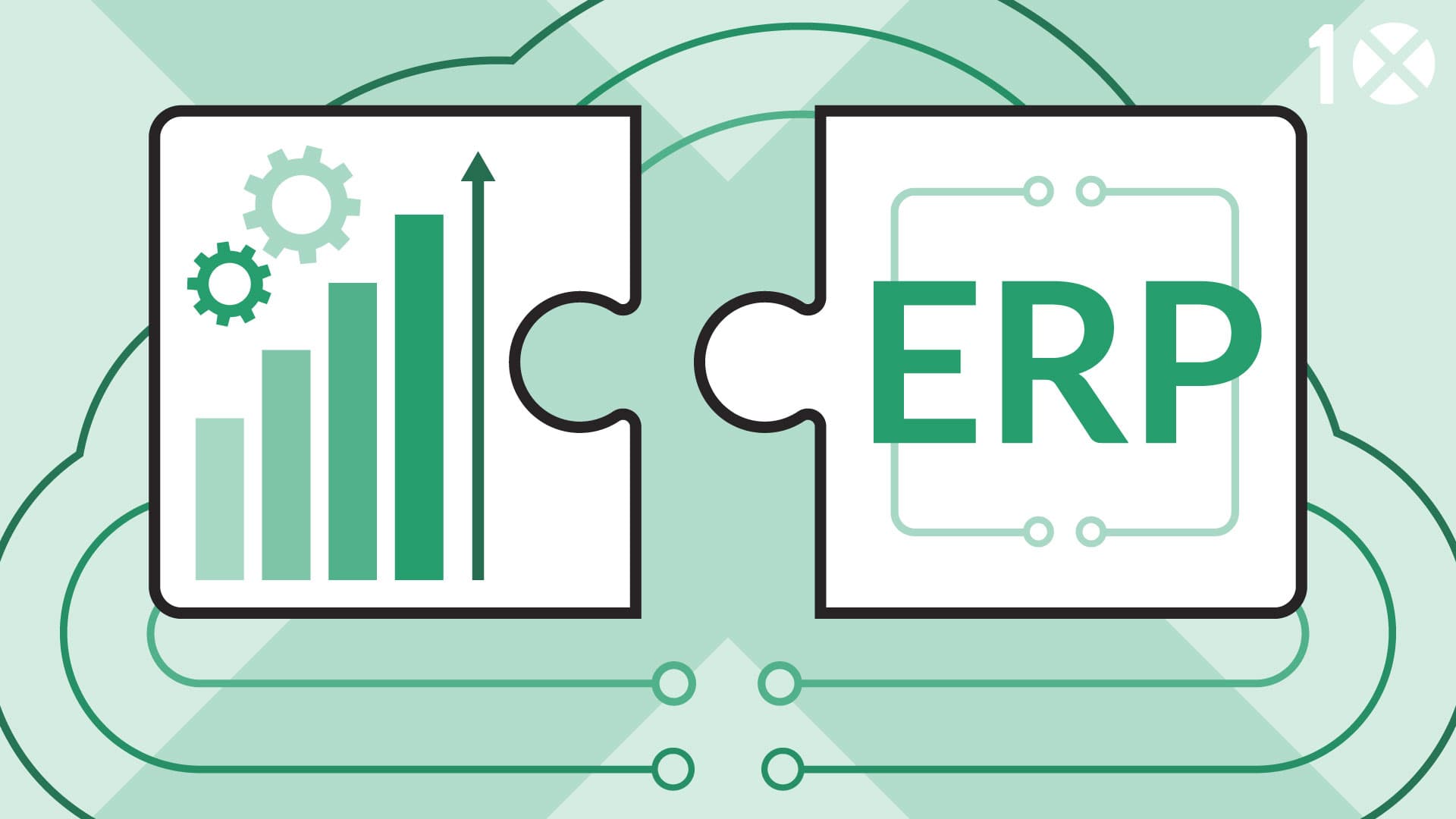 ERP as a Tool for Business Expansion and Growth